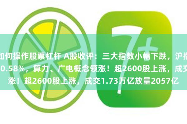 如何操作股票杠杆 A股收评：三大指数小幅下跌，沪指跌0.23%创业板指跌0.58%，算力、广电概念领涨！超2600股上涨，成交1.73万亿放量2057亿