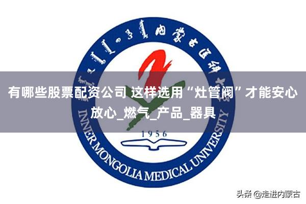 有哪些股票配资公司 这样选用“灶管阀”才能安心放心_燃气_产品_器具