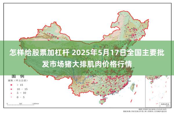怎样给股票加杠杆 2025年5月17日全国主要批发市场猪大排肌肉价格行情
