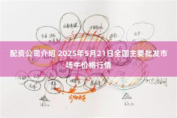 配资公司介绍 2025年5月21日全国主要批发市场牛价格行情