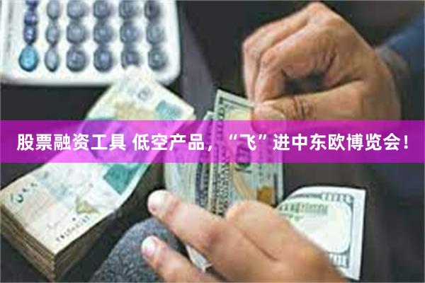 股票融资工具 低空产品，“飞”进中东欧博览会！