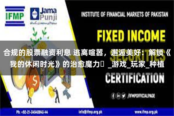 合规的股票融资利息 逃离喧嚣，邂逅美好：解锁《我的休闲时光》的治愈魔力​_游戏_玩家_种植
