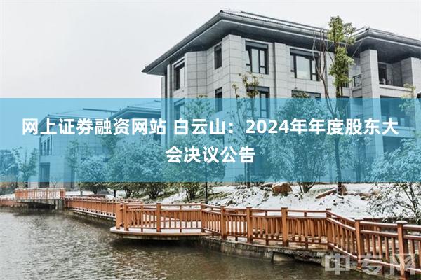 网上证劵融资网站 白云山：2024年年度股东大会决议公告