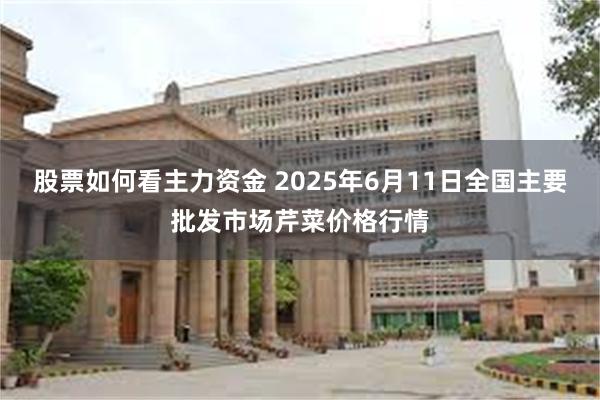 股票如何看主力资金 2025年6月11日全国主要批发市场芹菜价格行情