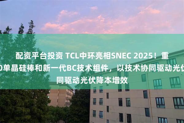 配资平台投资 TCL中环亮相SNEC 2025！重点展出210单晶硅棒和新一代BC技术组件，以技术协同驱动光伏降本增效