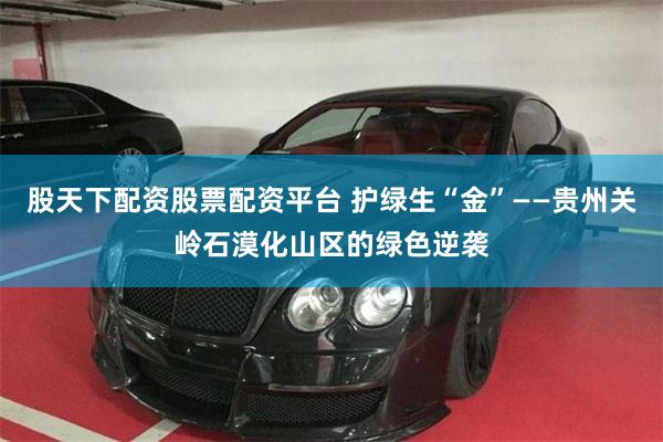 股天下配资股票配资平台 护绿生“金”——贵州关岭石漠化山区的绿色逆袭