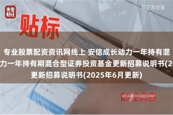 专业股票配资资讯网线上 安信成长动力一年持有混合: 安信成长动力一年持有期混合型证券投资基金更新招募说明书(2025年6月更新)