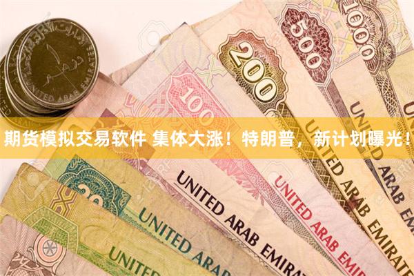 期货模拟交易软件 集体大涨！特朗普，新计划曝光！