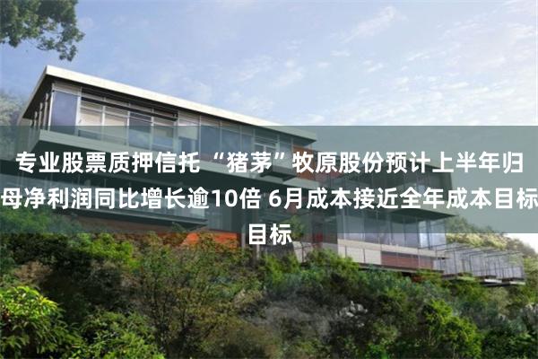 专业股票质押信托 “猪茅”牧原股份预计上半年归母净利润同比增长逾10倍 6月成本接近全年成本目标