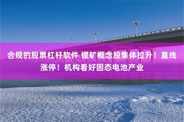 合规的股票杠杆软件 锂矿概念股集体拉升！直线涨停！机构看好固态电池产业