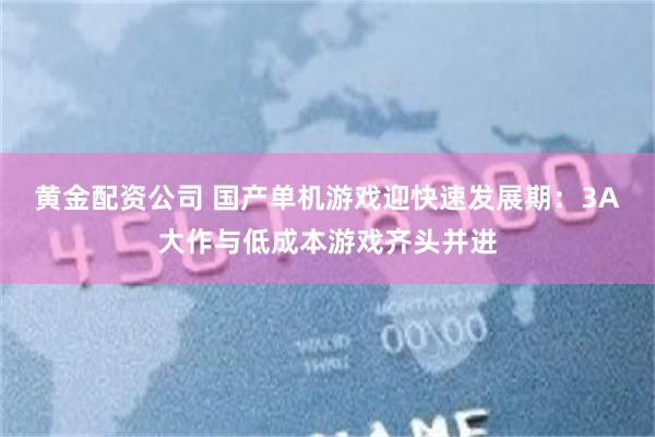 黄金配资公司 国产单机游戏迎快速发展期：3A大作与低成本游戏齐头并进
