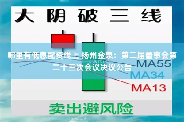 哪里有低息配资线上 扬州金泉：第二届董事会第二十三次会议决议公告